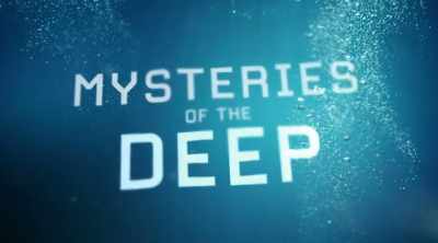 The massive quantities of
world war ii munitions - Mysteries of the Deep