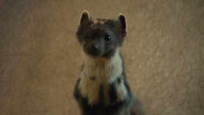 The master said to keep it
secret, particularly from her, - His Dark Materials