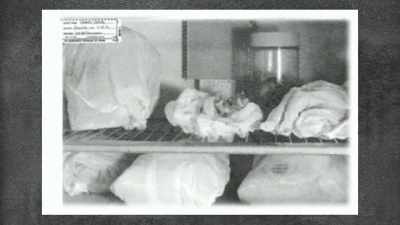 The mechanical sound
that Bass had heard - 35 Serial Killers the World Wants to Forget