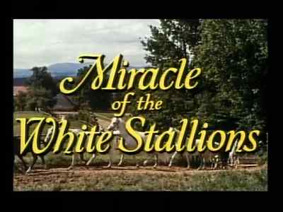 THE MIRACLE OF THE WHITE STEPHENS - Miracle of the White Stallions