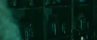 The missing fairies. - Maleficent: Mistress of Evil