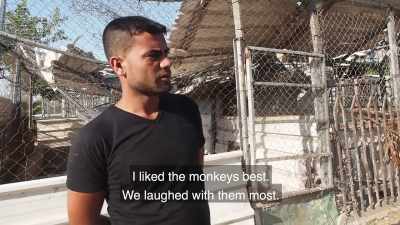 The monkeys.
They entertain me. - Killing Gaza