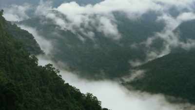 The monsoon season brings
a seemingly insurmountable challenge - The Green Planet