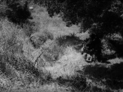 The monster next appeared in lovers' Lane - The Creeping Terror