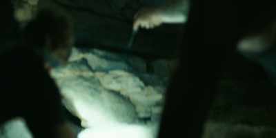 - The more we hung out
and started working on that, - Bray Wyatt: Becoming Immortal