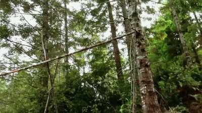  The more that I'm looking
 at this structure up close, - Expedition Bigfoot