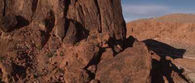 The more often a trait like venom
has evolved on Earth, - Alien Worlds