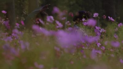 The more things change - The Color Purple