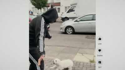 The more time you spend together, - Inside the Mind of a Dog