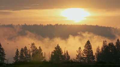 The morning of July 27th, - Yellowstone: One-Fifty