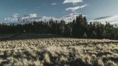The most common time
for a victim to disappear - Missing 411: The Hunted