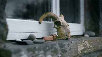The most haunting passage I remember
was she described a dead lamb - Sophie: A Murder in West Cork