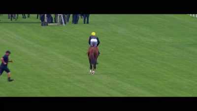 The most important thing is
to try and keep tabs on Stradivarius, - Horsepower