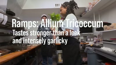 The most popular is ramps and eggs. - Searching for Soul Food