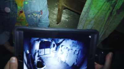 The motion sensors must
have picked up something - Deadstream
