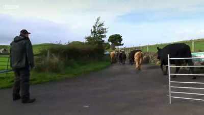 The mums'll miss them for a few days - Chronicles of the Glens