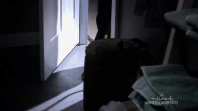 The murder was simple... - Garage Sale Mystery: The Beach Murder