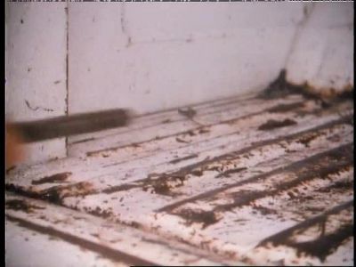 The murder weapon
was probably a jack - Unsolved Mysteries