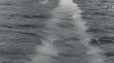 THE MYSTERY FOR US HERE
IS WE STILL DON'T KNOW - Mysteries of the Deep