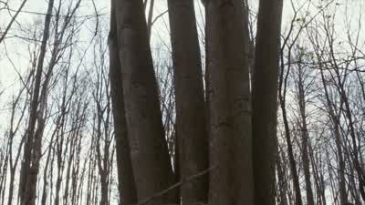- The name Saskatchewan originated with the Plains Indians. - Anne with an E