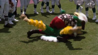 The National Football League - Ace Ventura: Pet Detective