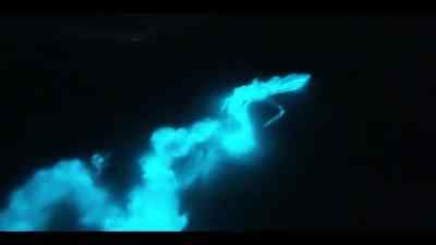 The natural fireworks create so much light
that even daytime predators are drawn in. - Our Oceans
