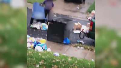 The neighbors
no longer live next door - Neighborhood Wars