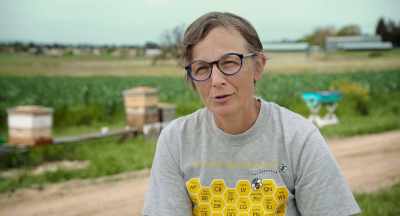 The neonicotinoids take years - The Pollinators
