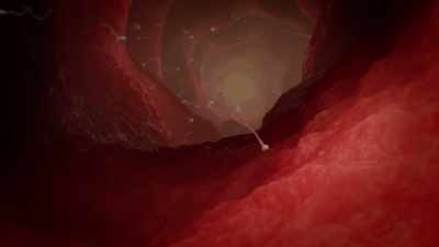 The nervous system is in charge - Human: The World Within