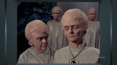 The network was only too happy - The Center Seat: 55 Years of Star Trek