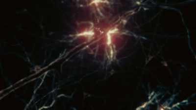 The neurons and their
parts, axons, dendrites, - Cosmos: Possible Worlds