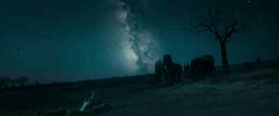 The never-ending
fight to survive - Our Universe