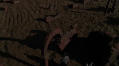 The new animal took a look around - Stargate SG-1