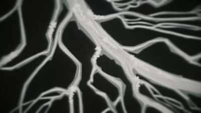 The new methodology of implanted electrodes has provided direct access - The Minds of Men