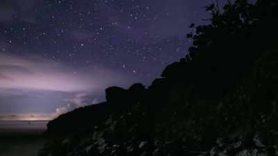 The new moon
triggers their mass migration. - Tiny World