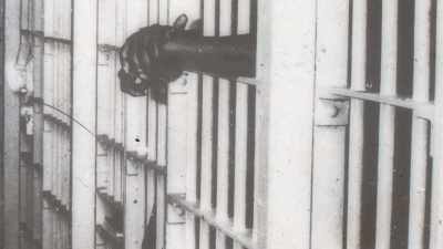 - The New York
state prison system - Betrayal at Attica