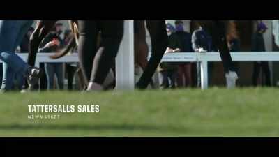 The next day, - Horsepower
