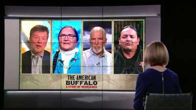 The next hurdle to get to
the next space where it's - The American Buffalo