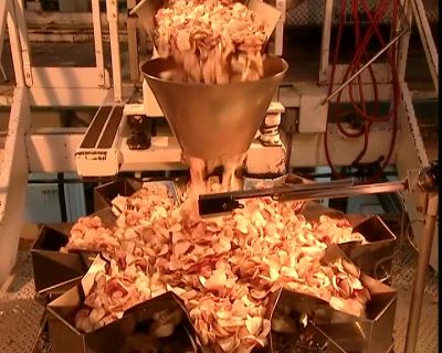 THE NEXT MACHINE SEPARATES
AND WEIGHS THE PORTIONS - How It's Made