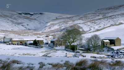The next morning,
Jorge has blown over, - Our Yorkshire Farm