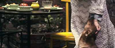 The nice thing about it, - The Disappearance of Shere Hite