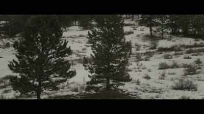 The night in question
when that happened, - Murder in Big Horn