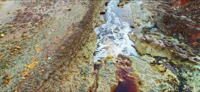 The nitrogen runs off the fields
working its way down rivers, - Eating Our Way to Extinction