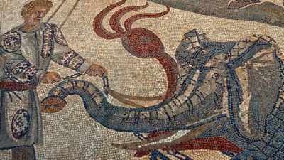  The north african elephant
 appears to have disappeared - Colosseum