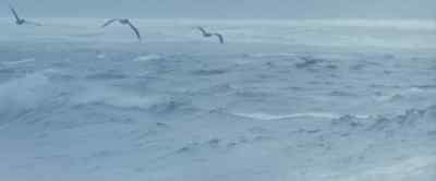 The north swell
was cold and lonely - Big Wednesday