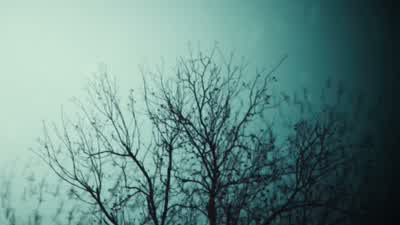 The Northmen have returned. - Vikings