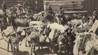 The numbers might have ranged
as high as 30,000 or so. - Jews of the Wild West