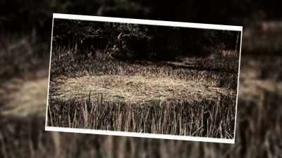 The object reported as hovering over an open field - Project Blue Book Exposed