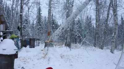 The obvious
thing would be like, - Life Below Zero: Next Generation