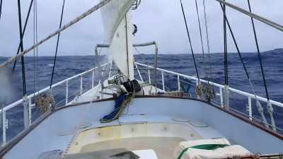 The ocean is not the easiest
environment to shoot in, you know? - Secrets of the Whales